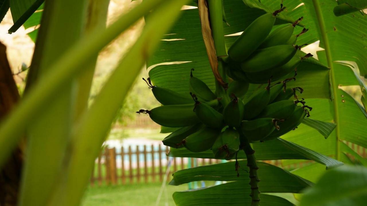Tropical Studio Orgiva Zewnętrze zdjęcie